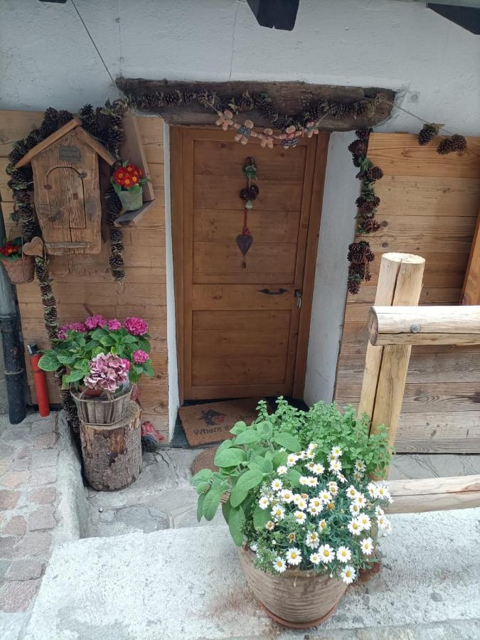 Maison Du Mont Aosta Ngoại thất bức ảnh